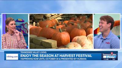 Dollywood on Fall Events and New Resorts