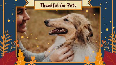 Thankful for Pets
